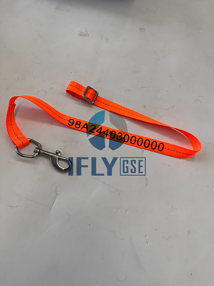 98A24403000000 - Shanghai Ifly GSE Co.,Ltd.